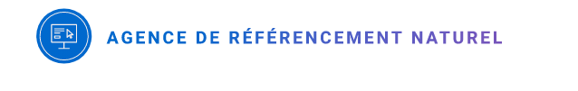 Agence de référencement naturel